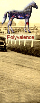 polyvalence