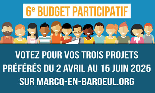 Lien vers Budget participatif : à vos votes !