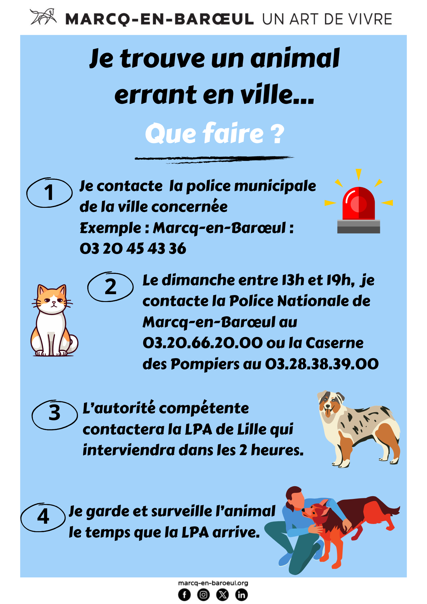 procédure animal errant