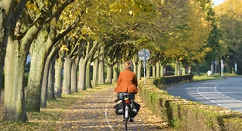 Lien vers 22 - Mail Vanhoenacker