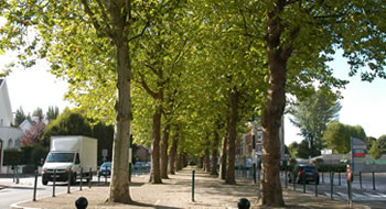 Lien vers 19 - Boulevard Clémenceau