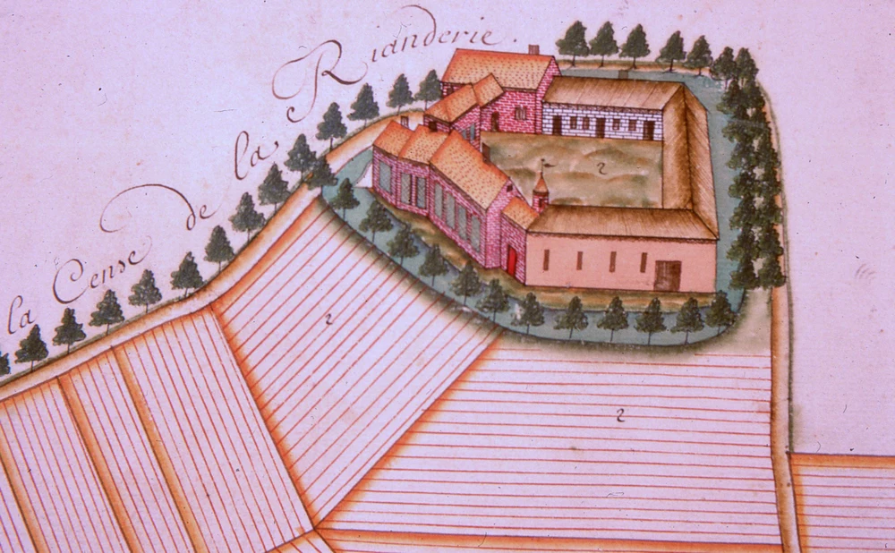 rianderie