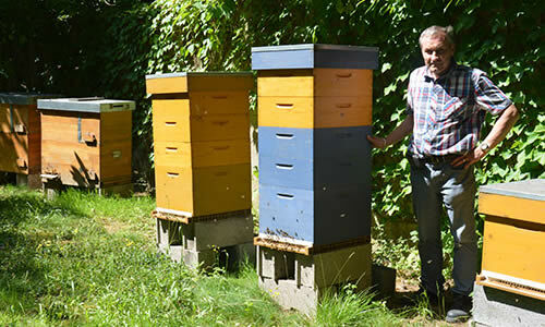 Lien vers L’abeille marcquoise