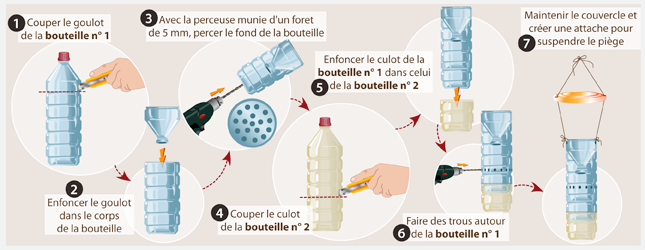 tuto piege frelons