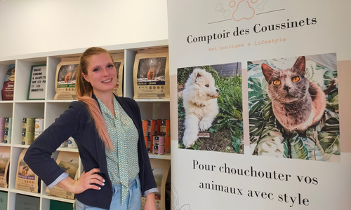 Lien vers Le Comptoir des Coussinets