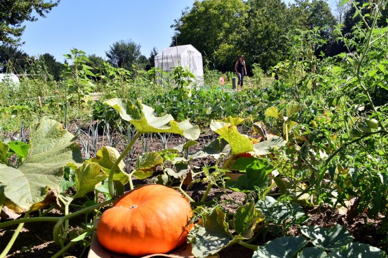 jardin familial 01 2018