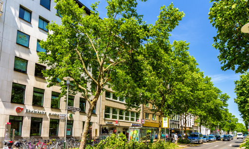 Lien vers 11. arbustes et arbres fruitiers en ville