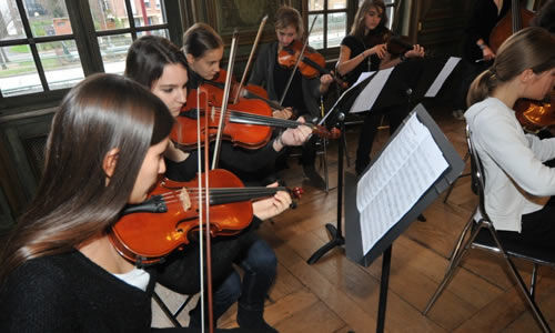 2024-12-6-violon