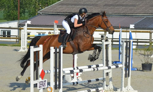 cheval-dressage