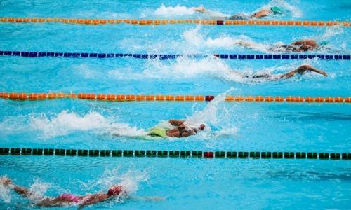 sport-natation