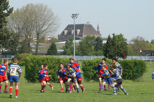 rugby